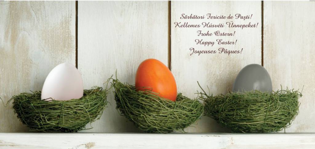felicitare 2